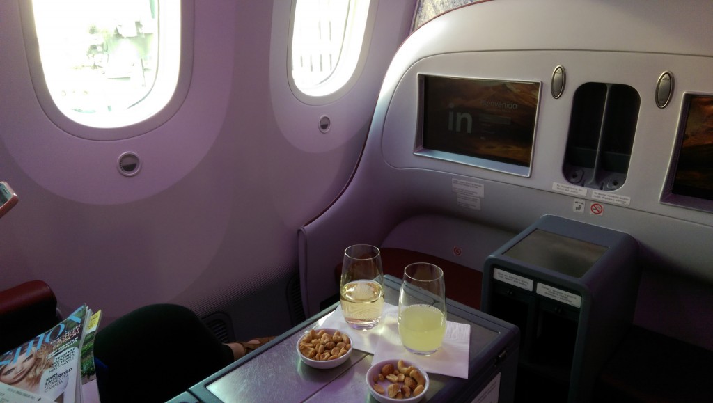 Business Class Dreamliner