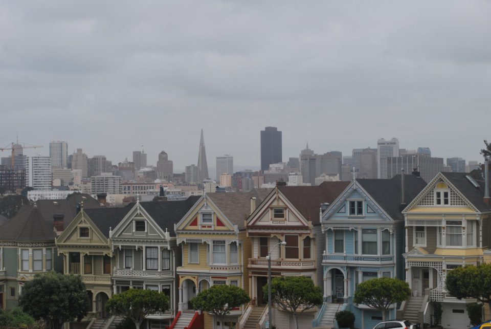 Painted Ladies