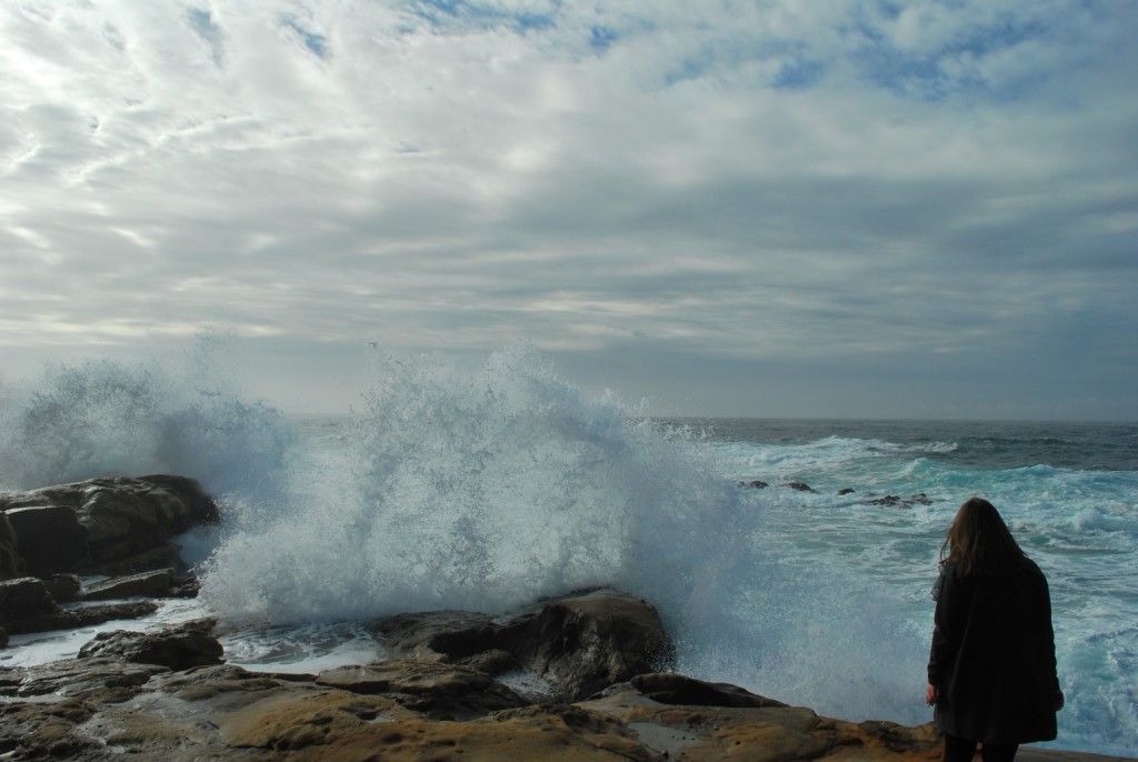 Wellen Point Lobos