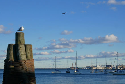 Boston Harbor