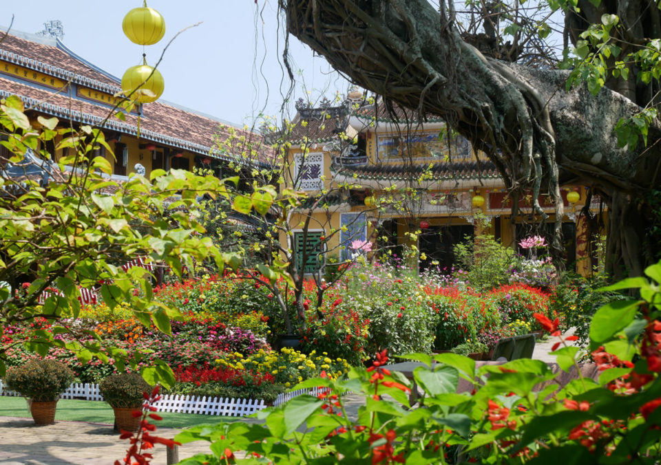 hoi an garten