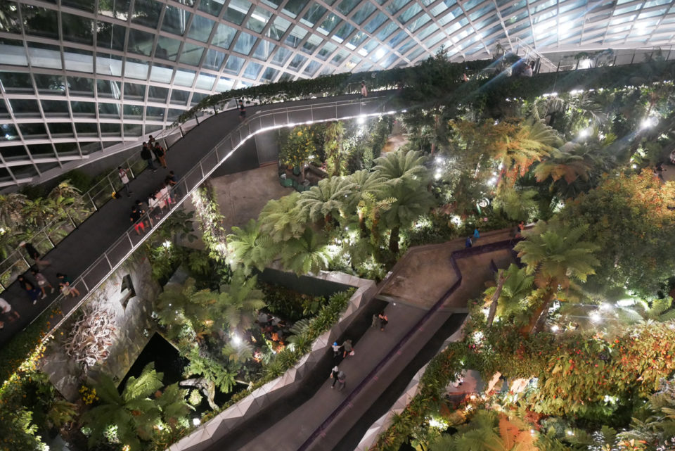 cloud forest singapore