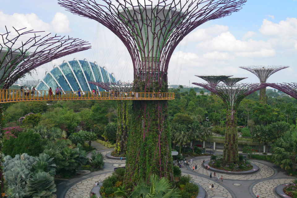 gardens by the bay 2