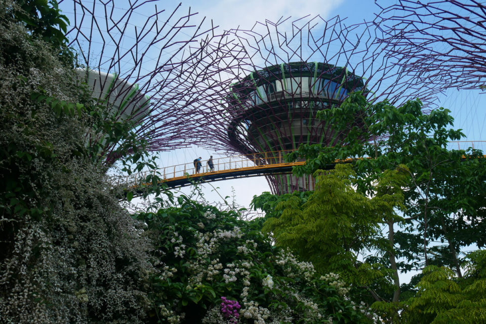 gardens by the bay singapore