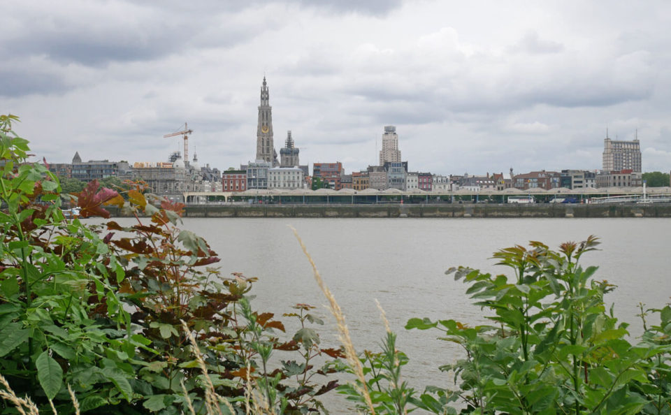 antwerpen skyline