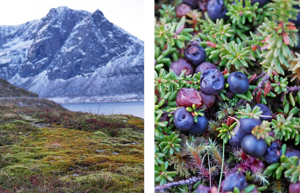 Moos Troms Norwegen